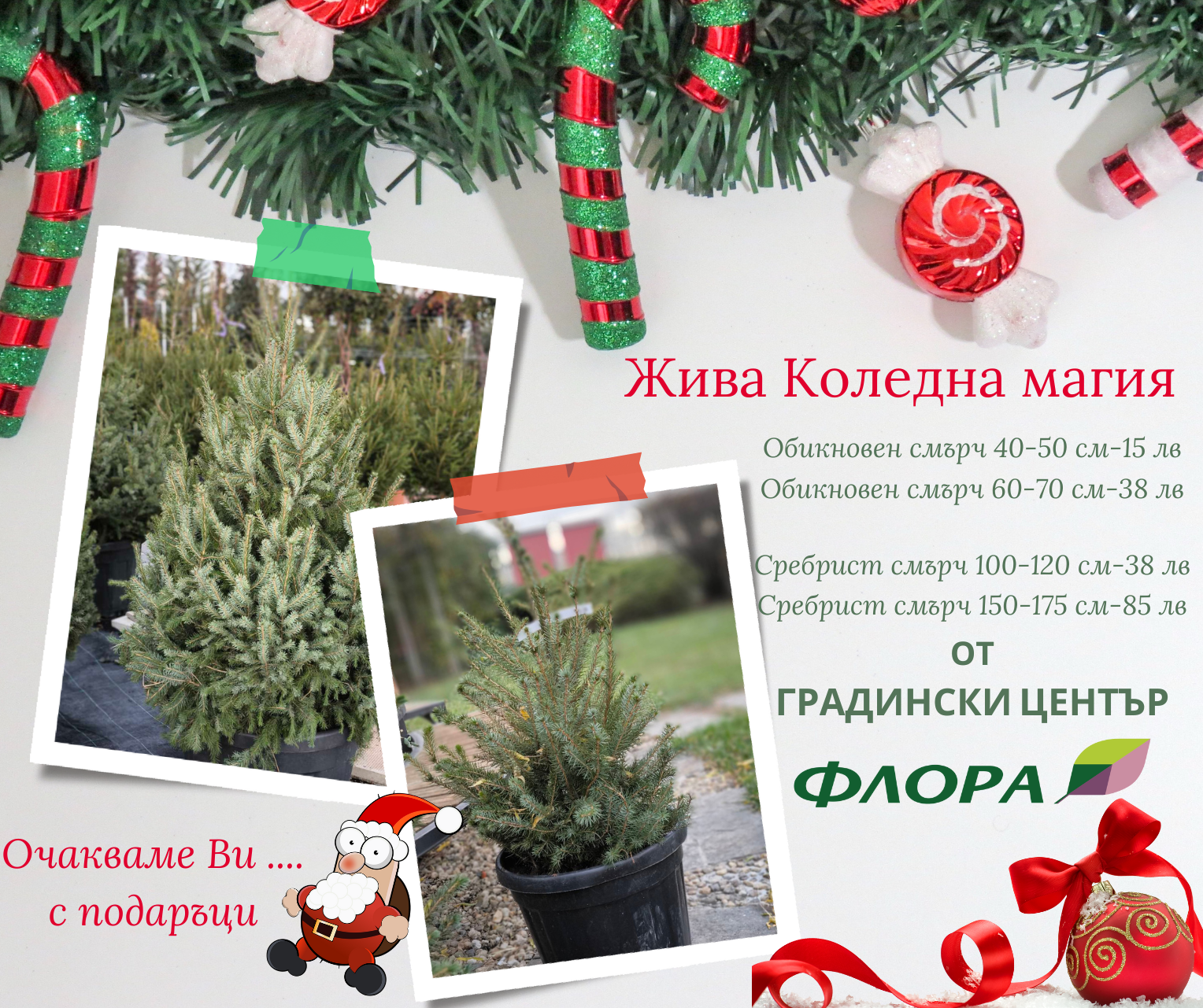 Весели Коледни и Новогодишни празници